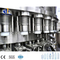 Machine Combiblock Blowing-Filling-Capping de bouteille d'eau minérale à petite échelle 12000bph