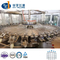 Machine de remplissage de remplissage entièrement automatique, lavage, capsulage, emballage pour animaux domestiques, eau minérale pure, jus, boissons CSD