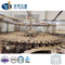 Prix ​​d'usine entièrement automatique 3 en 1 ligne de production de machine de remplissage d'eau potable en bouteille pour animaux de compagnie